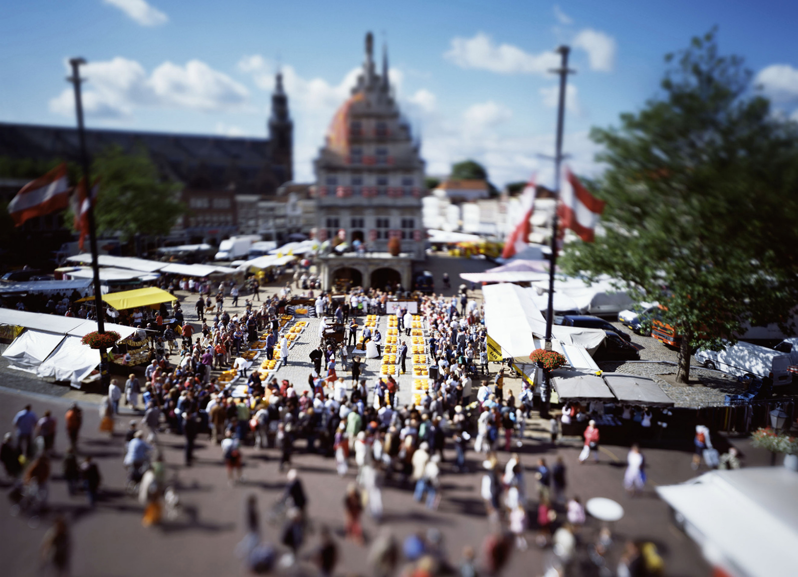 Gouda cheese fair